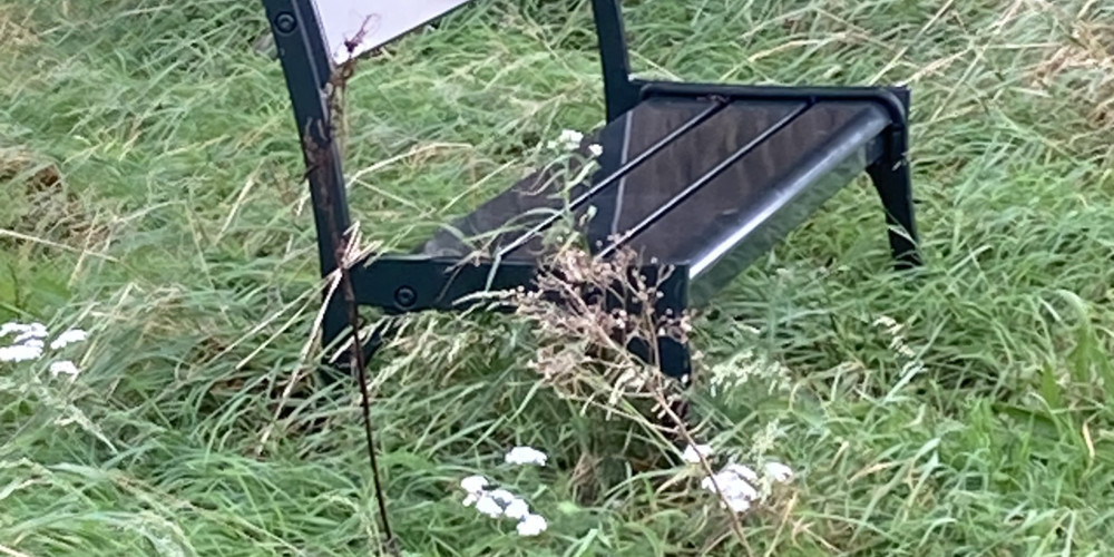 Zwarte metalen bank in een grasrijke omgeving, omringd door bomen.